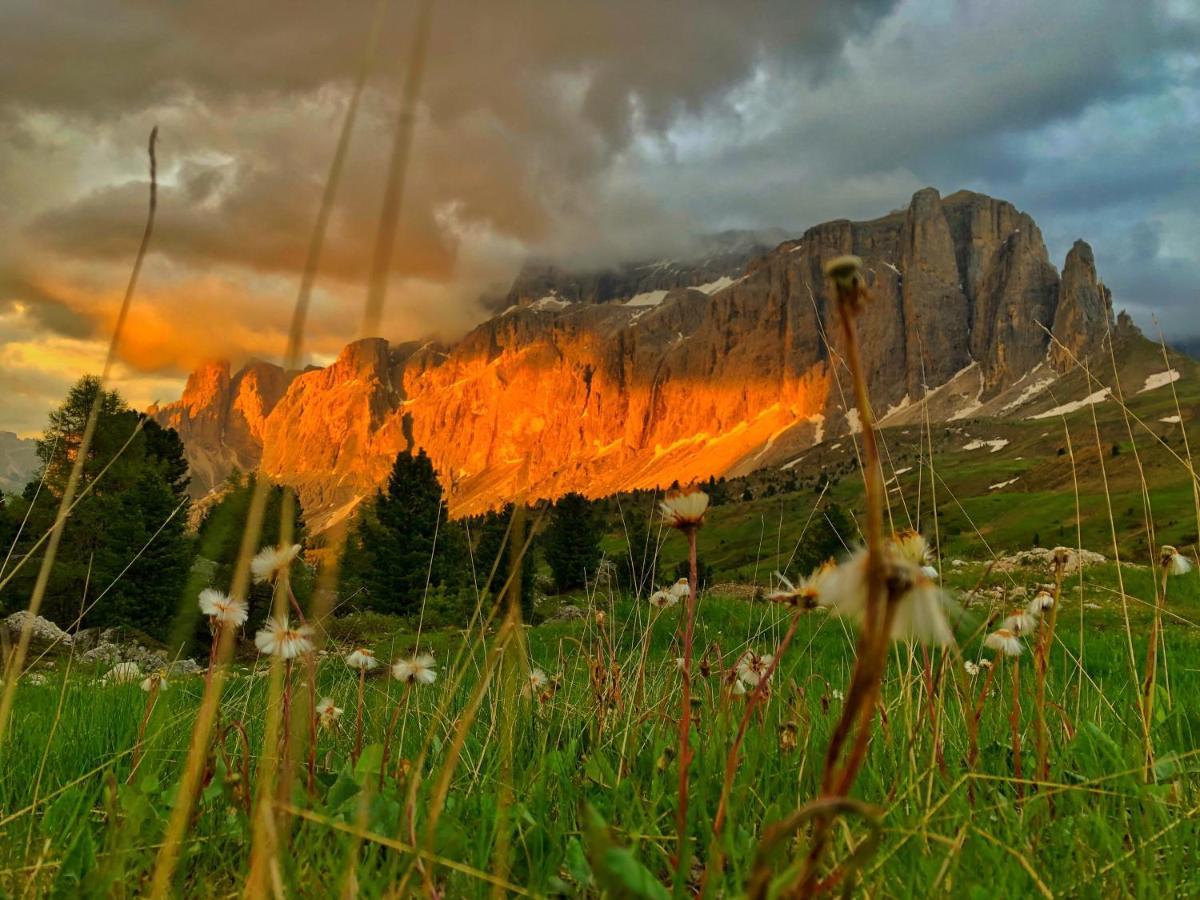 Passo Sella Dolomiti Mountain Resort Sëlva di Val Gardena Eksteriør billede